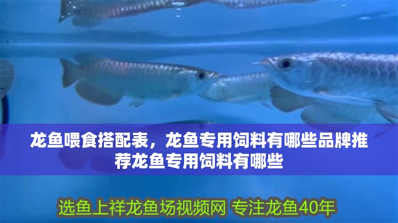 龍魚喂食搭配表，龍魚專用飼料有哪些品牌推薦龍魚專用飼料有哪些