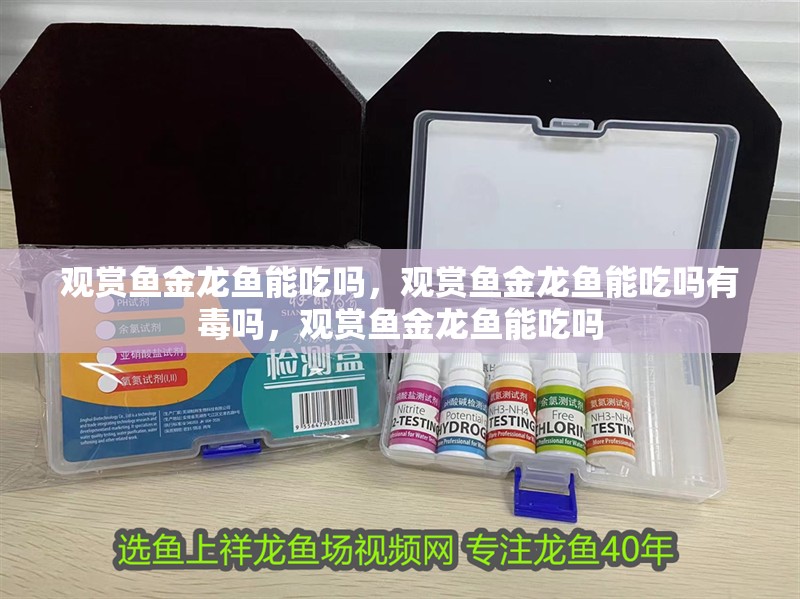 觀賞魚金龍魚能吃嗎，觀賞魚金龍魚能吃嗎有毒嗎，觀賞魚金龍魚能吃嗎