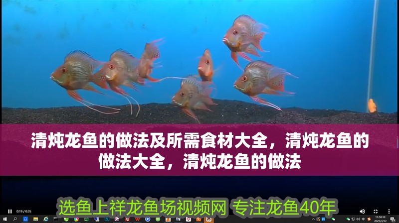 清燉龍魚的做法及所需食材大全，清燉龍魚的做法大全，清燉龍魚的做法