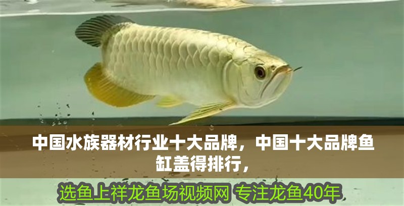 中國水族器材行業(yè)十大品牌，中國十大品牌魚缸蓋得排行，