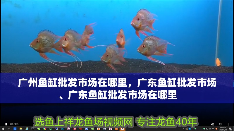 廣州魚缸批發(fā)市場在哪里，廣東魚缸批發(fā)市場、廣東魚缸批發(fā)市場在哪里