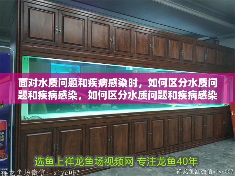 面對水質問題和疾病感染時，如何區分水質問題和疾病感染，如何區分水質問題和疾病感染
