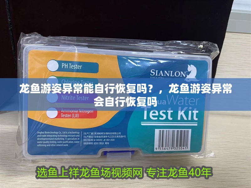 龍魚游姿異常能自行恢復嗎？，龍魚游姿異常會自行恢復嗎