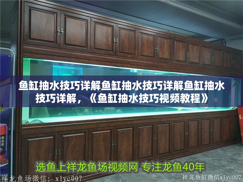 魚(yú)缸抽水技巧詳解魚(yú)缸抽水技巧詳解魚(yú)缸抽水技巧詳解，《魚(yú)缸抽水技巧視頻教程》