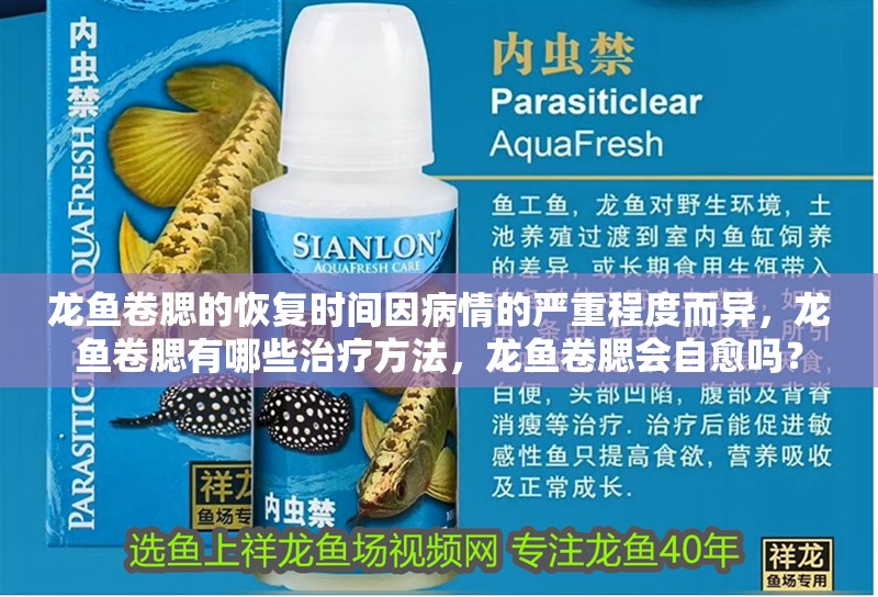 龍魚卷腮的恢復時間因病情的嚴重程度而異，龍魚卷腮有哪些治療方法，龍魚卷腮會自愈嗎？