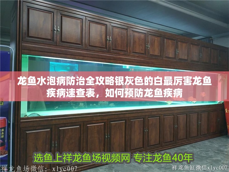 龍魚水泡病防治全攻略銀灰色的白最厲害龍魚疾病速查表，如何預防龍魚疾病