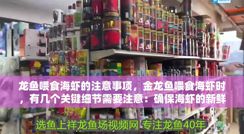 龍魚喂食海蝦的注意事項(xiàng)，金龍魚喂食海蝦時(shí)，有幾個(gè)關(guān)鍵細(xì)節(jié)需要注意：確保海蝦的新鮮度 龍魚喂食海蝦的注意事項(xiàng)，金龍魚喂食海蝦時(shí)，有幾個(gè)關(guān)鍵細(xì)節(jié)需要注意：確保海蝦的新鮮度 龍魚百科 第3張