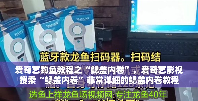 愛奇藝釣魚教程之“鰓蓋內卷”，愛奇藝影視搜索“鰓蓋內卷”非常詳細的鰓蓋內卷教程