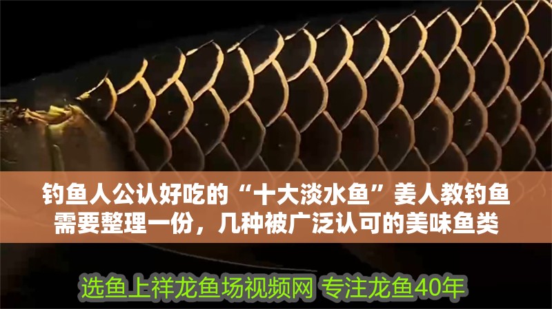 釣魚人公認好吃的“十大淡水魚”姜人教釣魚需要整理一份，幾種被廣泛認可的美味魚類