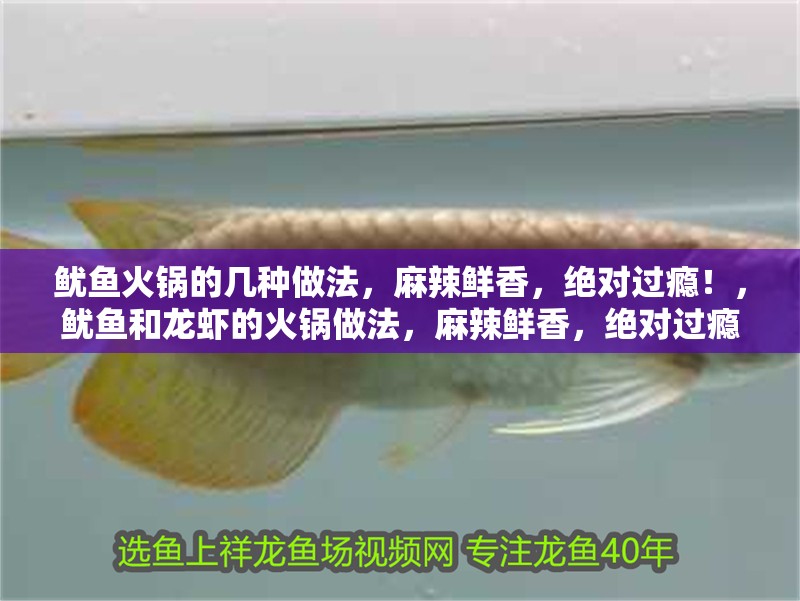 魷魚火鍋的幾種做法，麻辣鮮香，絕對過癮！，魷魚和龍蝦的火鍋做法，麻辣鮮香，絕對過癮