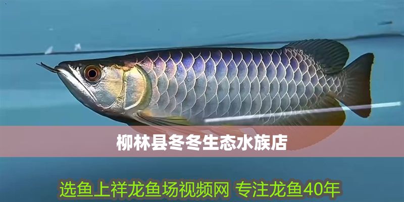 柳林縣冬冬生態水族店 全國水族館企業名錄 第1張 柳林縣冬冬生態水族店 柳林縣冬冬生態水族店 全國水族館企業名錄 第1張