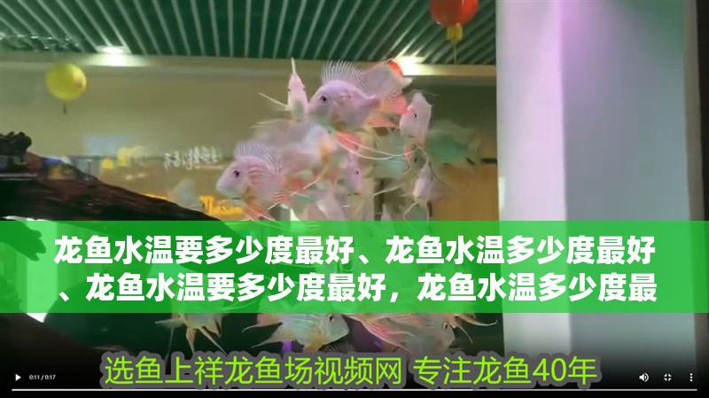 龍魚(yú)水溫要多少度最好、龍魚(yú)水溫多少度最好、龍魚(yú)水溫要多少度最好，龍魚(yú)水溫多少度最好、龍魚(yú)水溫要多少度才適宜養(yǎng)好龍魚(yú)