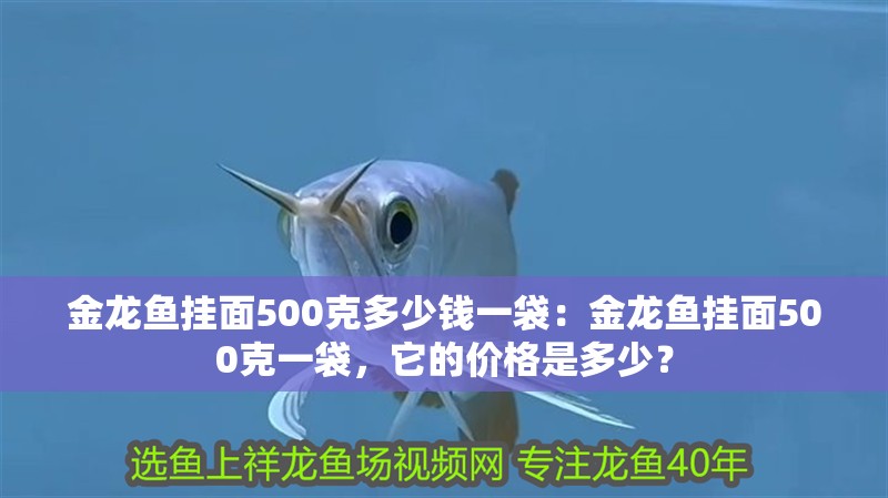 金龍魚掛面500克多少錢一袋：金龍魚掛面500克一袋，它的價格是多少？ 金龍魚掛面500克多少錢一袋：金龍魚掛面500克一袋，它的價格是多少？ 觀賞魚百科