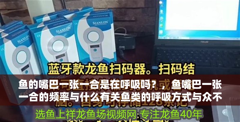 魚的嘴巴一張一合是在呼吸嗎？，魚嘴巴一張一合的頻率與什么有關魚類的呼吸方式與眾不同 魚的嘴巴一張一合是在呼吸嗎？，魚嘴巴一張一合的頻率與什么有關魚類的呼吸方式與眾不同 龍魚百科 第2張