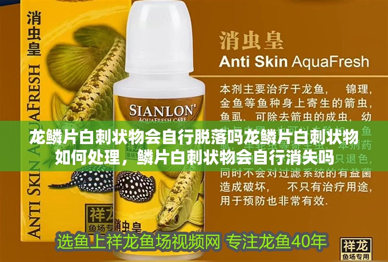 龍鱗片白刺狀物會自行脫落嗎龍鱗片白刺狀物如何處理，鱗片白刺狀物會自行消失嗎