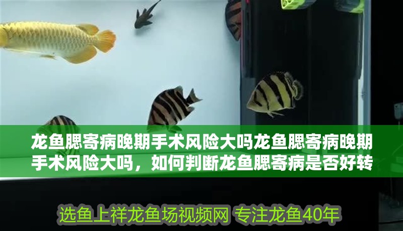 龍魚腮寄病晚期手術風險大嗎龍魚腮寄病晚期手術風險大嗎，如何判斷龍魚腮寄病是否好轉？