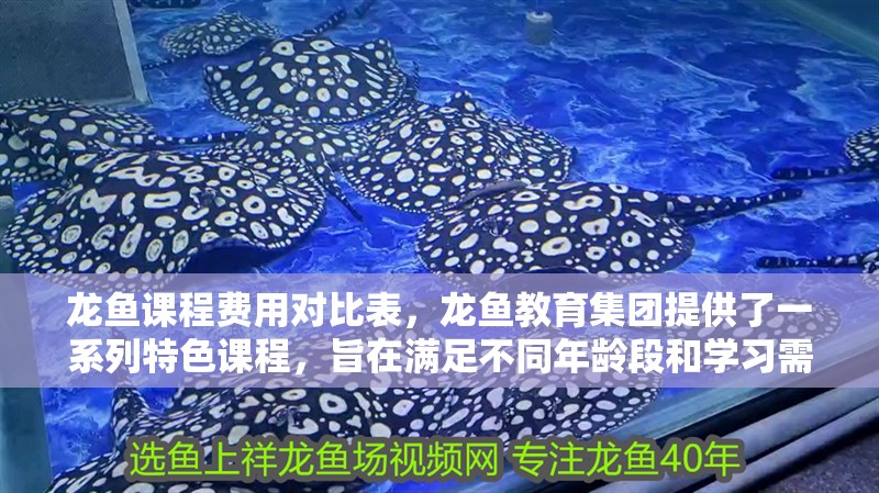 龍魚課程費用對比表，龍魚教育集團提供了一系列特色課程，旨在滿足不同年齡段和學習需求的學生