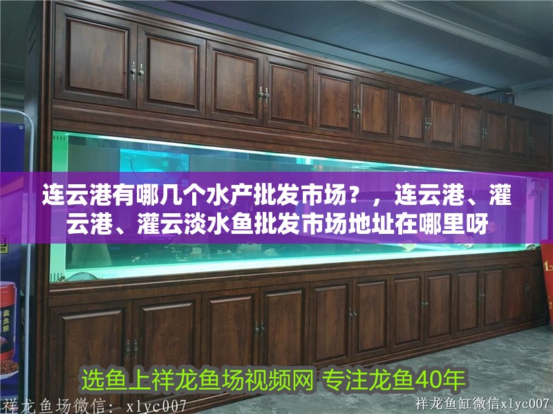 連云港有哪幾個水產批發市場？，連云港、灌云港、灌云淡水魚批發市場地址在哪里呀