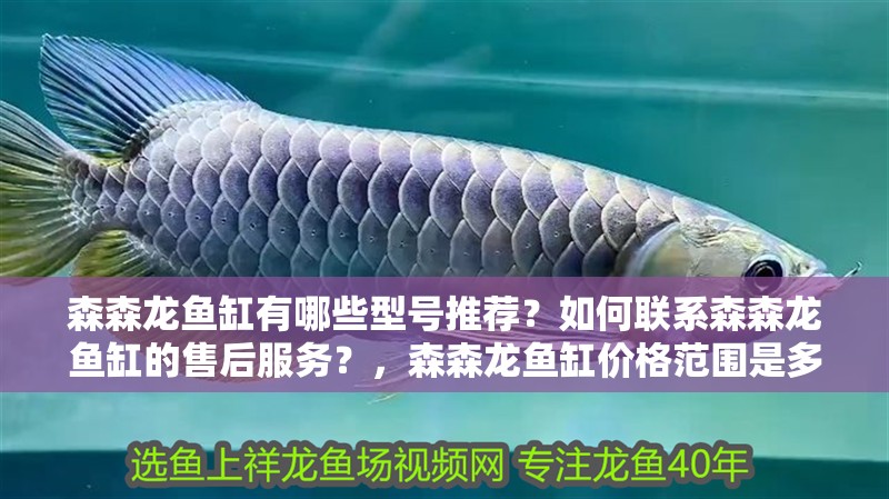 森森龍魚缸有哪些型號推薦？如何聯系森森龍魚缸的售后服務？，森森龍魚缸價格范圍是多少森森超白魚缸水族箱客廳大型底濾
