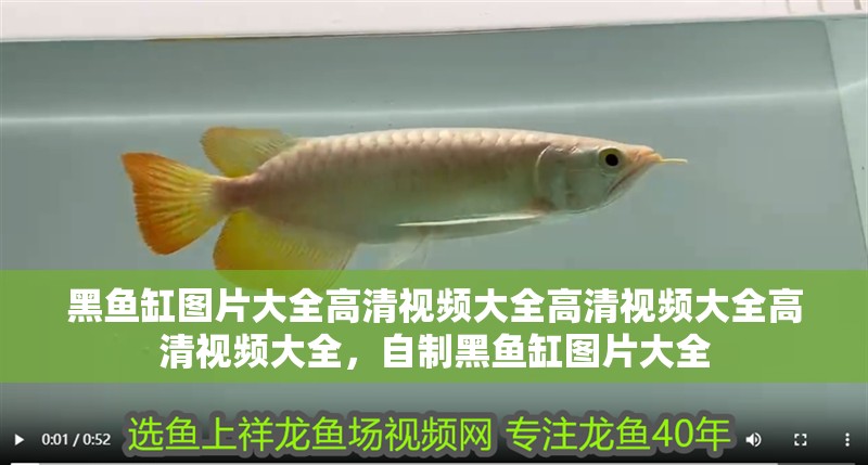 黑魚缸圖片大全高清視頻大全高清視頻大全高清視頻大全，自制黑魚缸圖片大全