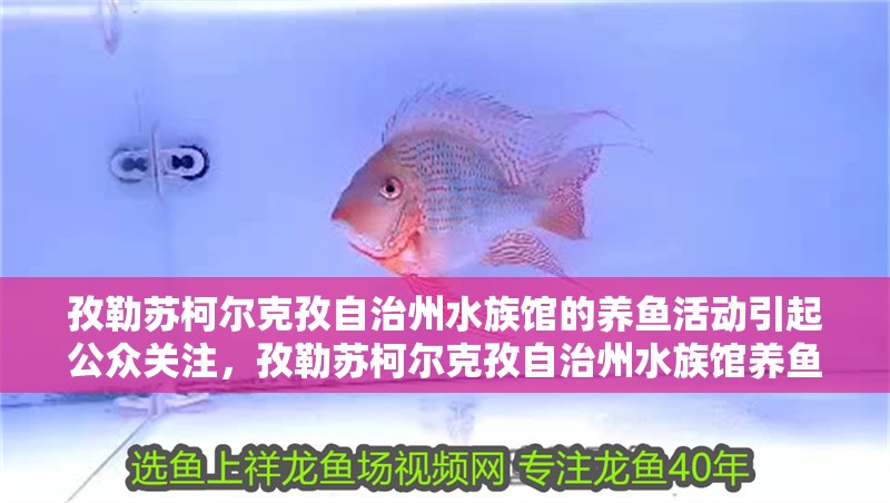孜勒蘇柯爾克孜自治州水族館的養魚活動引起公眾關注，孜勒蘇柯爾克孜自治州水族館養魚活動引發了公眾的關注