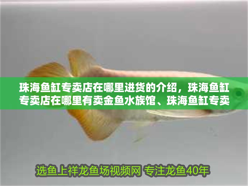 珠海魚缸專賣店在哪里進貨的介紹，珠海魚缸專賣店在哪里有賣金魚水族館、珠海魚缸專賣店在哪里進貨