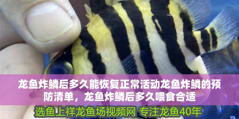 龍魚炸鱗后多久能恢復(fù)正常活動龍魚炸鱗的預(yù)防清單，龍魚炸鱗后多久喂食合適