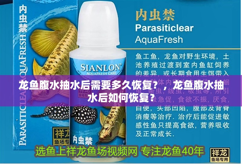 龍魚腹水抽水后需要多久恢復？，龍魚腹水抽水后如何恢復？ 龍魚腹水抽水后需要多久恢復？，龍魚腹水抽水后如何恢復？ 龍魚百科 第3張