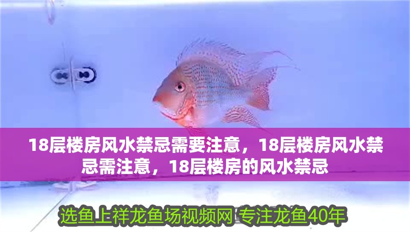 18層樓房風(fēng)水禁忌需要注意，18層樓房風(fēng)水禁忌需注意，18層樓房的風(fēng)水禁忌