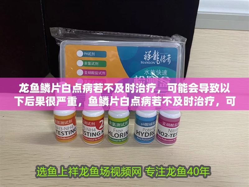 龍魚(yú)鱗片白點(diǎn)病若不及時(shí)治療，可能會(huì)導(dǎo)致以下后果很?chē)?yán)重，魚(yú)鱗片白點(diǎn)病若不及時(shí)治療，可能會(huì)導(dǎo)致以下后果很?chē)?yán)重