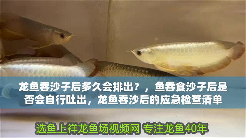 龍魚吞沙子后多久會排出？，魚吞食沙子后是否會自行吐出，龍魚吞沙后的應急檢查清單 龍魚吞沙子后多久會排出？，魚吞食沙子后是否會自行吐出，龍魚吞沙后的應急檢查清單 龍魚百科