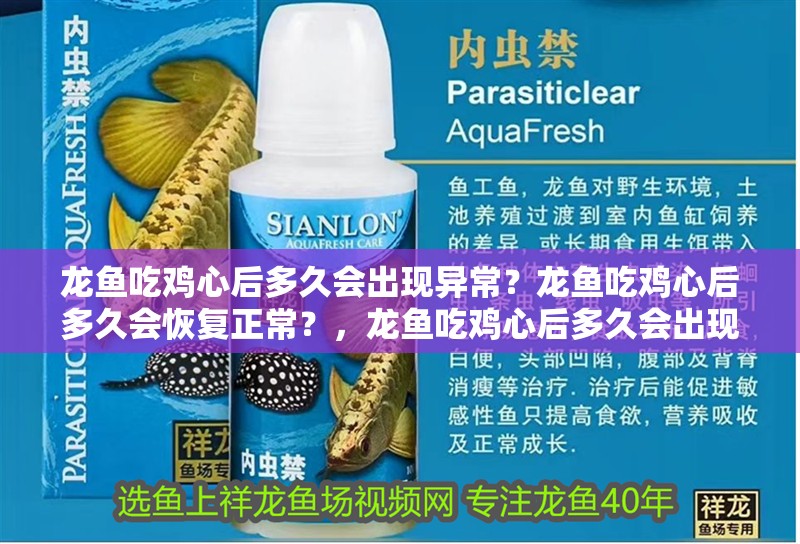 龍魚吃雞心后多久會出現異常？龍魚吃雞心后多久會恢復正常？，龍魚吃雞心后多久會出現異常問題，龍魚中毒急救清單 龍魚吃雞心后多久會出現異常？龍魚吃雞心后多久會恢復正常？，龍魚吃雞心后多久會出現異常問題，龍魚中毒急救清單 龍魚百科 第3張