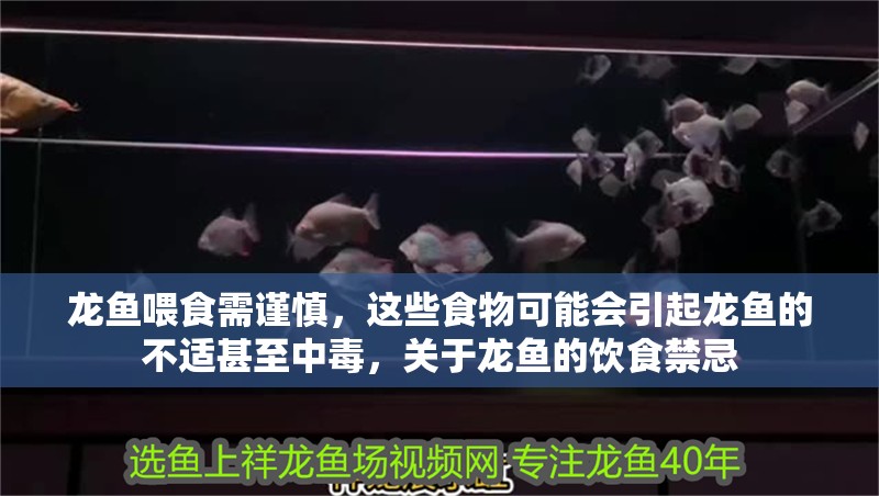 龍魚喂食需謹慎，這些食物可能會引起龍魚的不適甚至中毒，關于龍魚的飲食禁忌