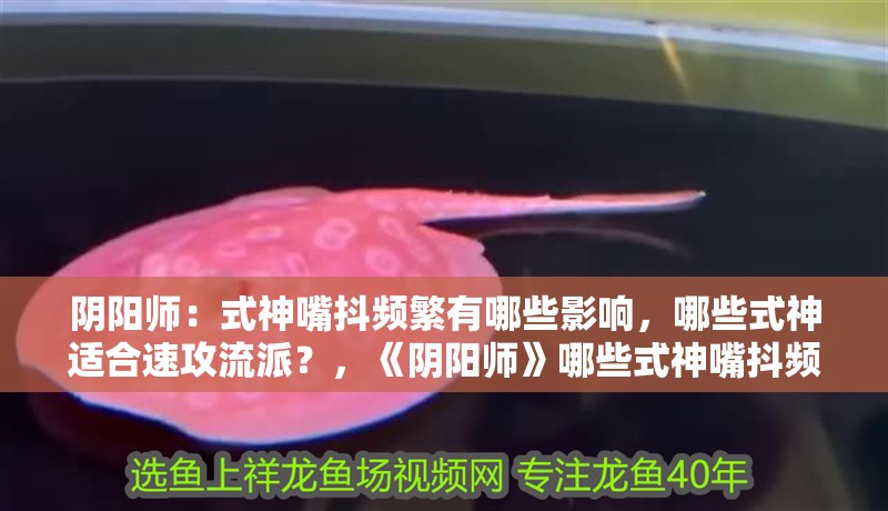 陰陽師：式神嘴抖頻繁有哪些影響，哪些式神適合速攻流派？，《陰陽師》哪些式神嘴抖頻繁？