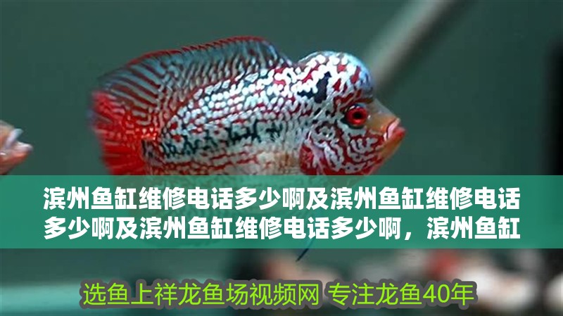 濱州魚缸維修電話多少啊及濱州魚缸維修電話多少啊及濱州魚缸維修電話多少啊，濱州魚缸維修電話多少啊