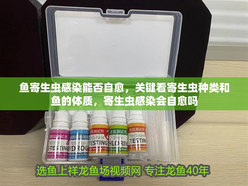 魚(yú)寄生蟲(chóng)感染能否自愈，關(guān)鍵看寄生蟲(chóng)種類(lèi)和魚(yú)的體質(zhì)，寄生蟲(chóng)感染會(huì)自愈嗎