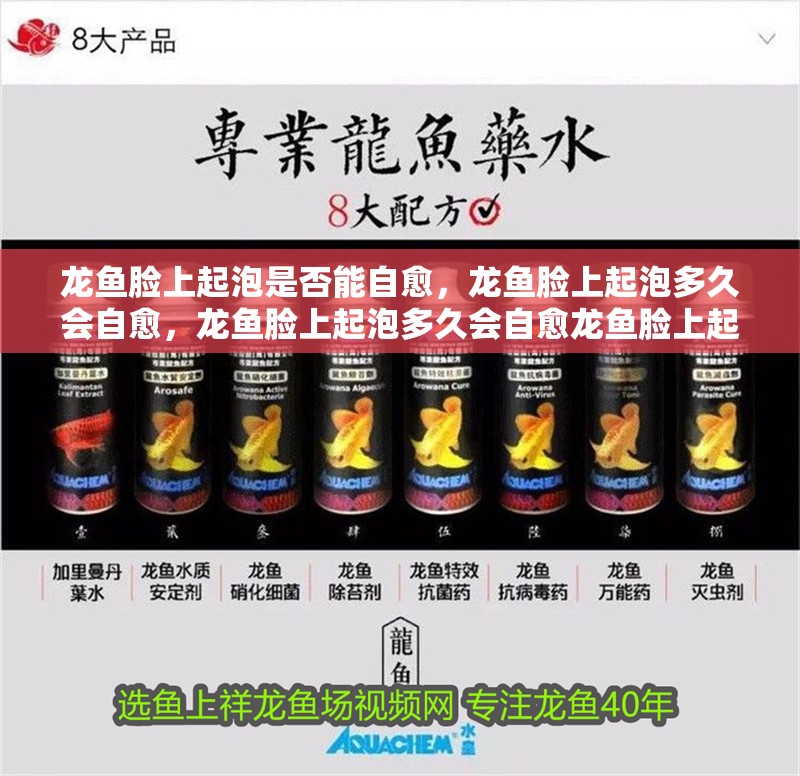 龍魚臉上起泡是否能自愈，龍魚臉上起泡多久會自愈，龍魚臉上起泡多久會自愈龍魚臉上起泡多久會自愈