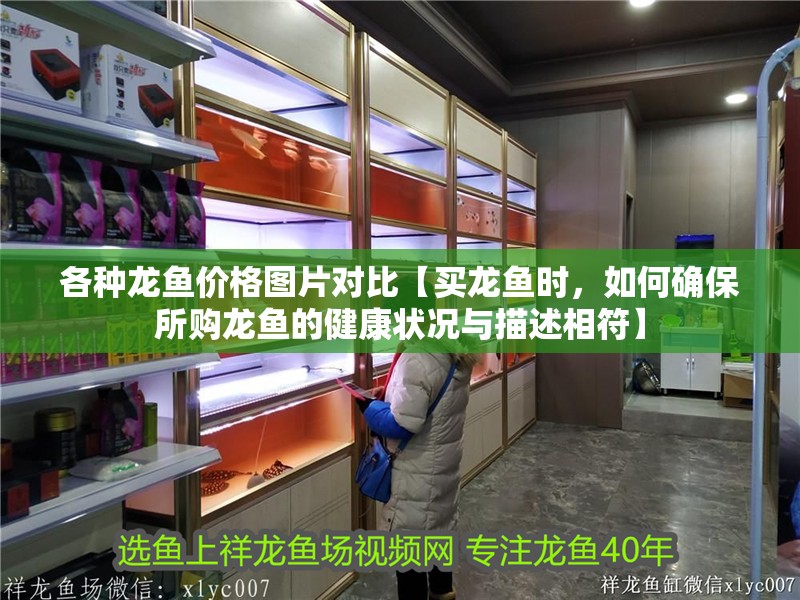 各種龍魚價格圖片對比【買龍魚時，如何確保所購龍魚的健康狀況與描述相符】 各種龍魚價格圖片對比【買龍魚時，如何確保所購龍魚的健康狀況與描述相符】 觀賞魚百科 第2張