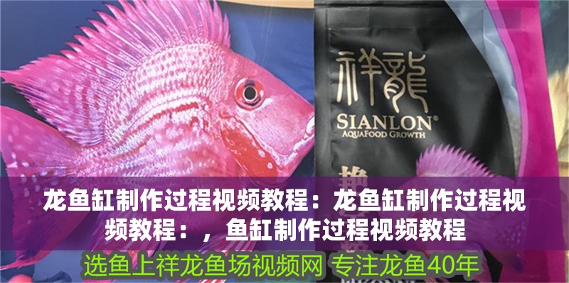 龍魚缸制作過程視頻教程:龍魚缸制作過程視頻教程:,魚缸制作過程視頻教程 觀賞魚百科 第2張 龍魚缸制作過程視頻教程:龍魚缸制作過程視頻教程:,魚缸制作過程視頻教程 龍魚缸制作過程視頻教程:龍魚缸制作過程視頻教程:,魚缸制作過程視頻教程 觀賞魚百科 第2張
