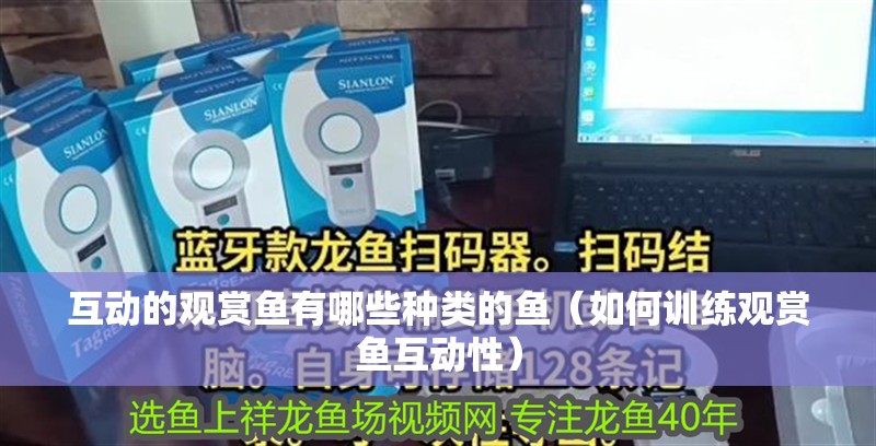 互動(dòng)的觀賞魚有哪些種類的魚（如何訓(xùn)練觀賞魚互動(dòng)性） 互動(dòng)的觀賞魚有哪些種類的魚（如何訓(xùn)練觀賞魚互動(dòng)性） 觀賞魚百科