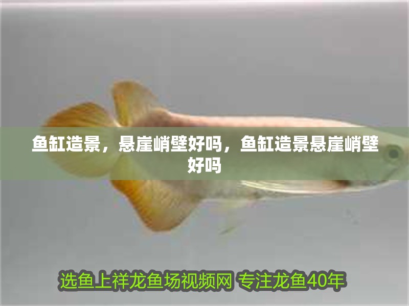 魚缸造景，懸崖峭壁好嗎，魚缸造景懸崖峭壁好嗎