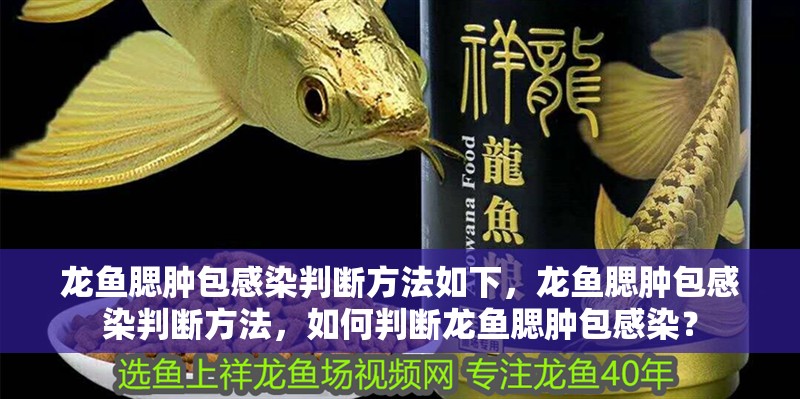 龍魚(yú)腮腫包感染判斷方法如下，龍魚(yú)腮腫包感染判斷方法，如何判斷龍魚(yú)腮腫包感染？