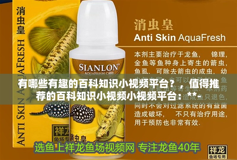 有哪些有趣的百科知識小視頻平臺？，值得推薦的百科知識小視頻小視頻平臺：**-