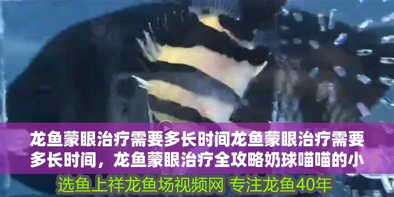 龍魚蒙眼治療需要多長時間龍魚蒙眼治療需要多長時間，龍魚蒙眼治療全攻略奶球喵喵的小窩