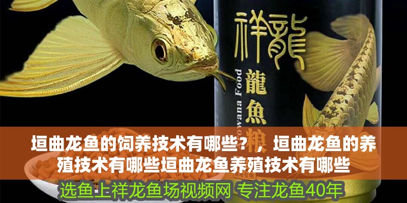 垣曲龍魚的飼養技術有哪些？，垣曲龍魚的養殖技術有哪些垣曲龍魚養殖技術有哪些