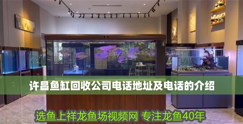 許昌魚缸回收公司電話地址及電話的介紹
