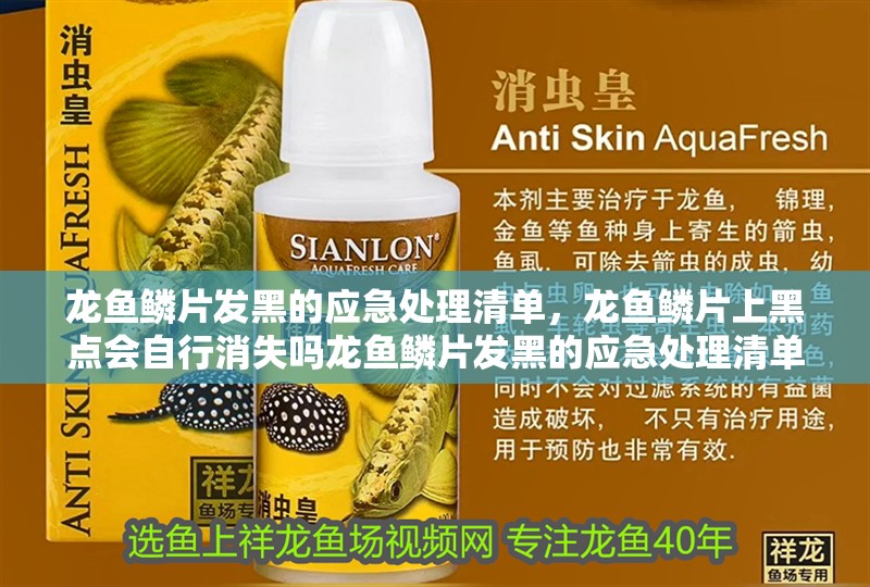 龍魚鱗片發黑的應急處理清單，龍魚鱗片上黑點會自行消失嗎龍魚鱗片發黑的應急處理清單