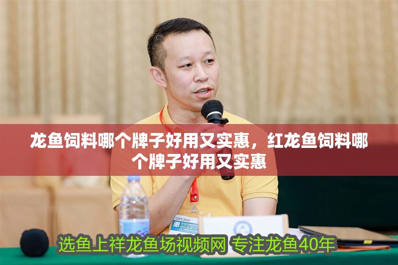 龍魚飼料哪個牌子好用又實惠，紅龍魚飼料哪個牌子好用又實惠