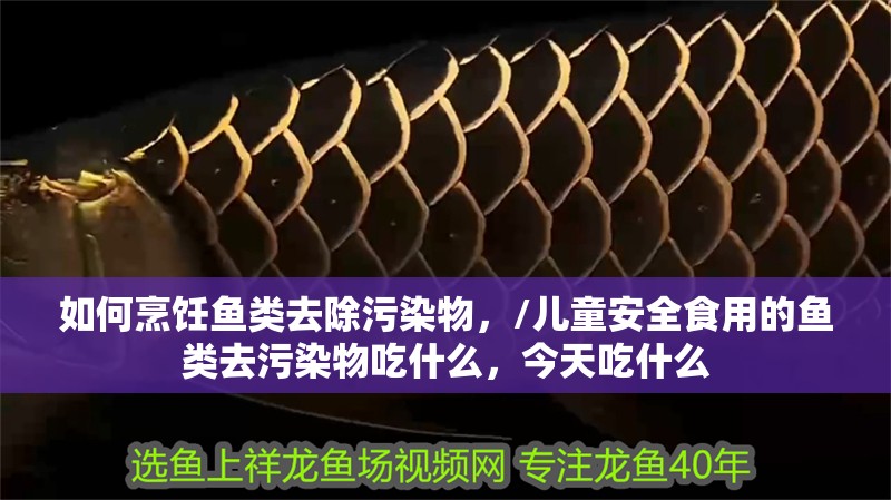 如何烹飪魚類去除污染物，/兒童安全食用的魚類去污染物吃什么，今天吃什么