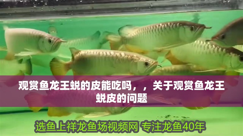 觀賞魚龍王蛻的皮能吃嗎，，關于觀賞魚龍王蛻皮的問題